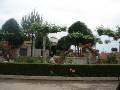 Jardín Plaza (Moscas)